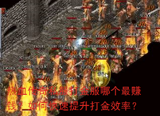 ��Ѫ����˽�������ĸ���׬Ǯ����ο����������Ч�ʣ�