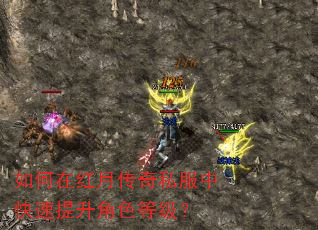 如何在红月传奇私服中快速提升角色等级? 如何在红月传奇私服中快速提升角色等级?