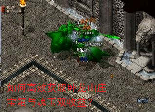 ��θ�Ч��ȡ����ɽׯ���������˫���棿