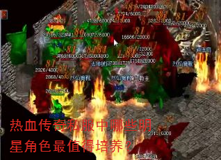 热血传奇私服中哪些明星角色最值得培养? 热血传奇私服中哪些明星角色最值得培养?