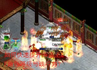 如何快速提升海盗王SF角色等级与战斗力? 如何快速提升海盗王SF角色等级与战斗力?