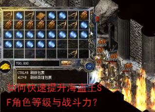 如何快速提升海盗王SF角色等级与战斗力? 如何快速提升海盗王SF角色等级与战斗力?
