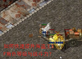 如何快速提升海盗王SF角色等级与战斗力? 如何快速提升海盗王SF角色等级与战斗力?