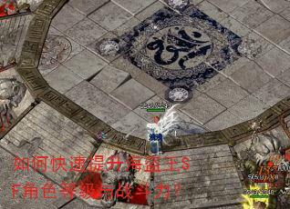 如何快速提升海盗王SF角色等级与战斗力? 如何快速提升海盗王SF角色等级与战斗力?