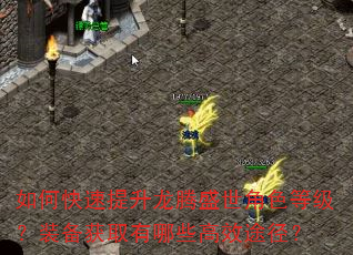 如何快速提升龙腾盛世角色等级?装备获取有哪些高效途径? 如何快速提升龙腾盛世角色等级?装备获取有哪些高效途径?