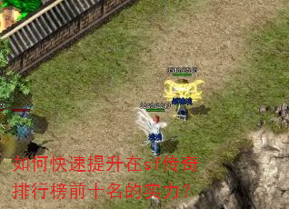 如何快速提升在sf传奇排行榜前十名的实力? 如何快速提升在sf传奇排行榜前十名的实力?
