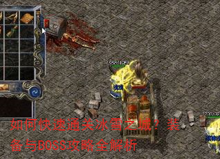 ��ο���ͨ�ر�ѩ֮�ǣ�װ����BOSS����ȫ����