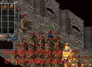 ������Ϸ��sf��ʲô��˼����������Լ���