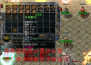 ������Ϸ��sf��ʲô��˼����������Լ���