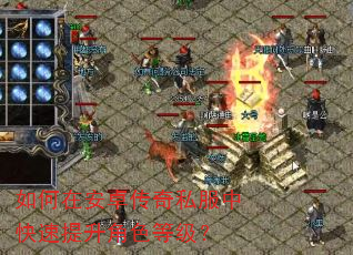 如何在安卓传奇私服中快速提升角色等级? 如何在安卓传奇私服中快速提升角色等级?