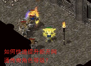 如何快速提升新开网通传奇角色等级? 如何快速提升新开网通传奇角色等级?