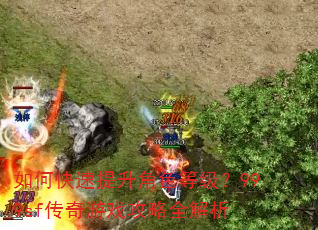 如何快速提升角色等级?999sf传奇游戏攻略全解析 如何快速提升角色等级?999sf传奇游戏攻略全解析