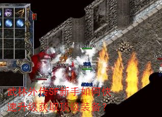 武林外传SF新手如何快速升级获取顶级装备? 武林外传SF新手如何快速升级获取顶级装备?