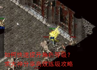 如何快速提升角色等级?求大神分享高效练级攻略 如何快速提升角色等级?求大神分享高效练级攻略