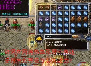 如何在网通热血私服中快速提升角色等级与装备战力? 如何在网通热血私服中快速提升角色等级与装备战力?