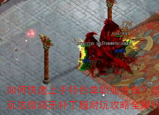 如何快速上手特色单职业传奇?多种玩法微端无补丁超耐玩攻略全解析? 如何快速上手特色单职业传奇?多种玩法微端无补丁超耐玩攻略全解析?