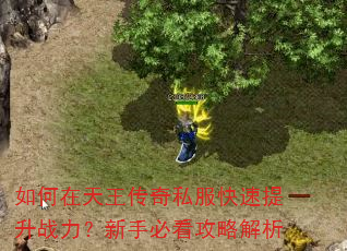 如何在天王传奇私服快速提升战力?新手必看攻略解析 如何在天王传奇私服快速提升战力?新手必看攻略解析