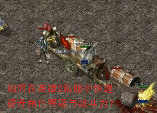 �����Ӣ��2˽���п���������ɫ�ȼ���ս������