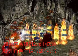 �����Ӣ��2˽���п���������ɫ�ȼ���ս������