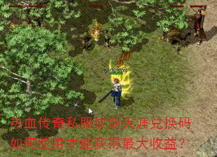 热血传奇私服仗剑天涯兑换码如何使用才能获得最大收益? 热血传奇私服仗剑天涯兑换码如何使用才能获得最大收益?