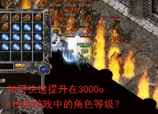��ο���������3000ok������Ϸ�еĽ�ɫ�ȼ���