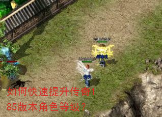 如何快速提升传奇185版本角色等级? 如何快速提升传奇185版本角色等级?