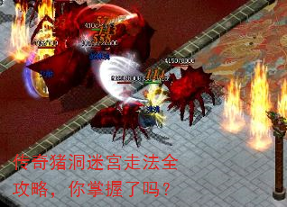 传奇猪洞迷宫走法全攻略,你掌握了吗? 传奇猪洞迷宫走法全攻略,你掌握了吗?