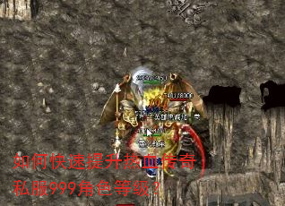 如何快速提升热血传奇私服999角色等级? 如何快速提升热血传奇私服999角色等级?