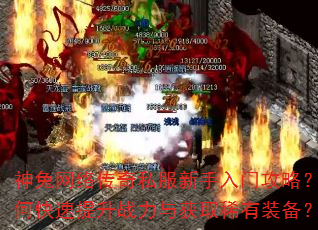 �������紫��˽���������Ź��ԣ���ο�������ս�����ȡϡ��װ����