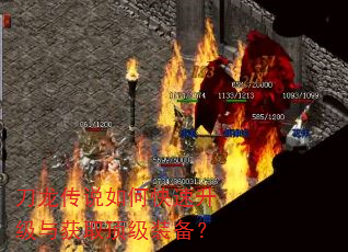 刀龙传说如何快速升级与获取顶级装备? 刀龙传说如何快速升级与获取顶级装备?