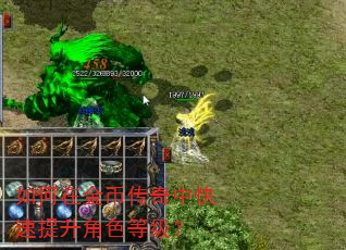 如何在金币传奇中快速提升角色等级? 如何在金币传奇中快速提升角色等级?