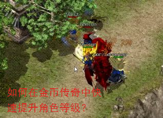 如何在金币传奇中快速提升角色等级? 如何在金币传奇中快速提升角色等级?